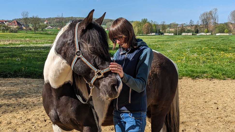 Pferd Gino bei der Manuellen Therapie durch Tierheilpraktiker Jessican